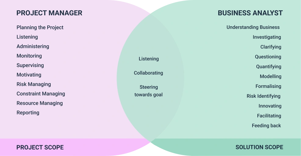 PM and BA Roles