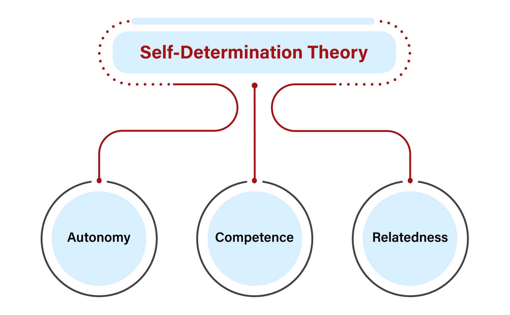 Self-Determination Theory (SDT)