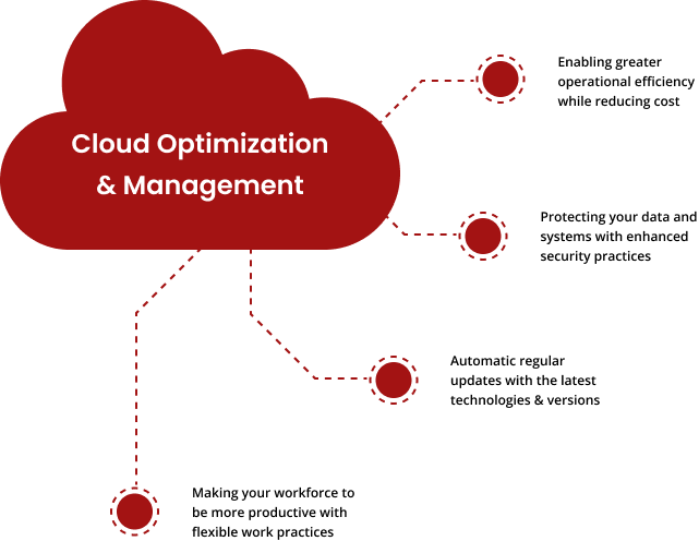 Cloud Management & Optimization
